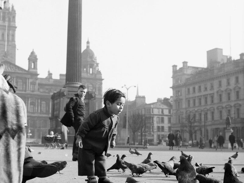A little boy meets the pigeons in Glasgow's George Square in the spring of 1963.