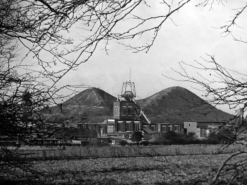 These mounds on the skyline were known as Mae West by the miners at Huntington, after the famous Hollywood actress.  At an estimated three million tons, Mae was an industrial starlet once seen and never forgotten. At the time of this March 1969 picture a row of wooden pegs climbing the mound nearest Cocksparrow Lane had set folk wondering whether the National Coal Board was planning to give the mounds some reduction surgery. However, a board spokesman was reassuring. "The measuring rods are just a common form of movement check made periodically on pit mounds," he said. Huntington's wartime Home Guard 
used one summit for the oddest observation post in Britain - a piece of steel pipe with a door cut in the bottom and a lid for the roof. 