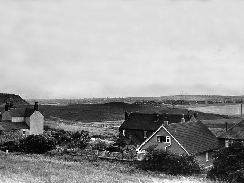 "No Cannock Chase people I know want to look out on to a coal mound - even if it is made up of 'washed smalls'," began the story used with this picture in August 1968. "Yet it seems this summer the National Coal Board's stocking mounds have developed bulging waistlines, especially those at Green Heath, Hednesford, where on the site of the old West Cannock No. 1 pit, up to 6,000 tons of washed smalls - NCB jargon for tiny lumps - are being stocked every week. Green Heath families have watched the growth uneasily. Mr Brian Heathcote, for instance, complained that the grey hills in his landscape view were turning into 'mountains.' The 'smalls', trundled two miles up to Green Heath from Littleton Colliery at Huntington, are destined for use in power stations and other big industries. Storing in the open, says the NCB, is done simply because of the vast spaces that would be needed underground."