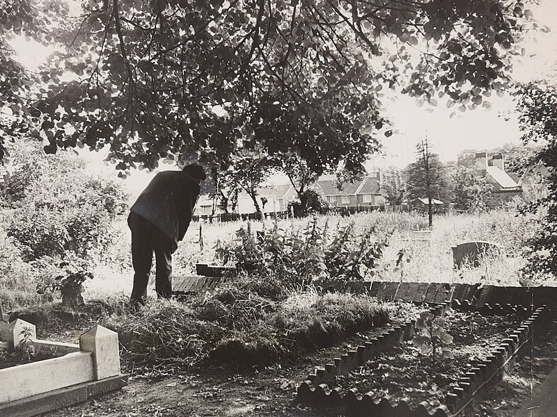 A solitary worker bends over to tend to the graves during a major cleanup effort at Tettenhall Church in July 1969. Volunteers and groundskeepers worked hard to clear overgrown grass and weeds across the front churchyard, restoring order to the historic parish grounds. Situated in the picturesque village area on the outskirts of Wolverhampton, the serene spot provided a tranquil resting place for generations of local families. Do you have family connections to Tettenhall Church or remember helping out with community projects in Wolverhampton back in 1969?