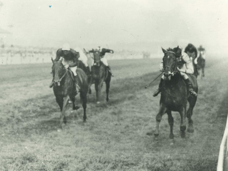 Horses pounding down the track. 