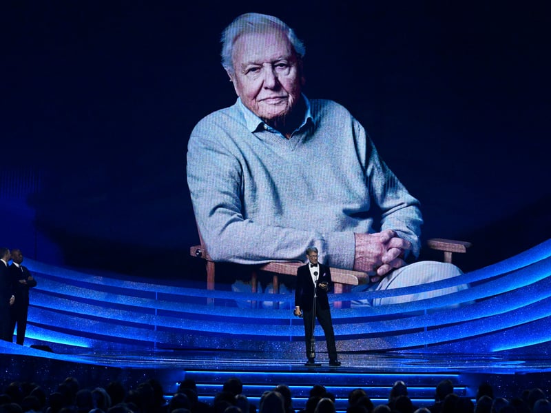 Following his 100th birthday earlier this year, David Attenborough won best TV presenter at the 2026 NTAs. His competition included Alison Hammond, Ant & Dec, Claudia Winkleman and Stacey Solomon.
