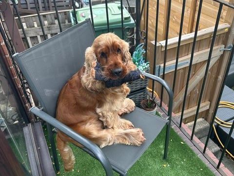 Tucker with teddy