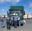 Gardai investigating horse trafficking