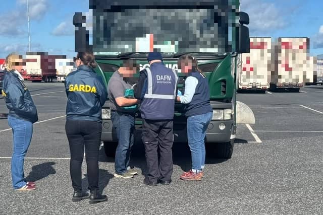 Gardai investigating horse trafficking