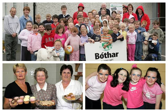 Memory Lane photos from Laois in 2005.