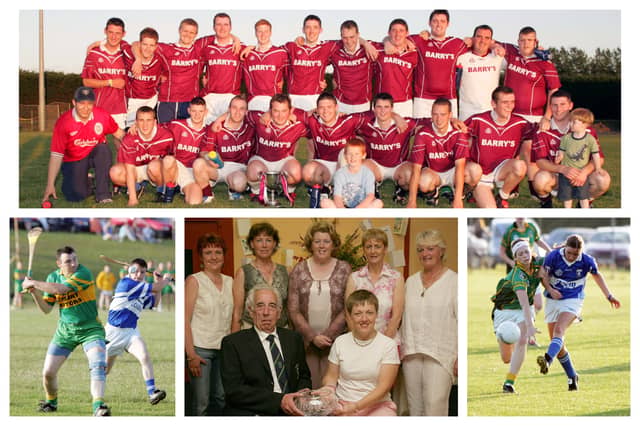Laois sports July 2005