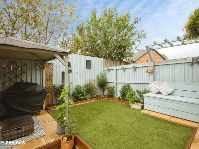 The back garden