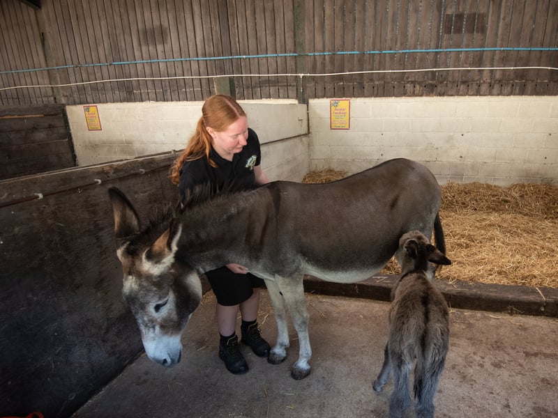 With mum and farm staff