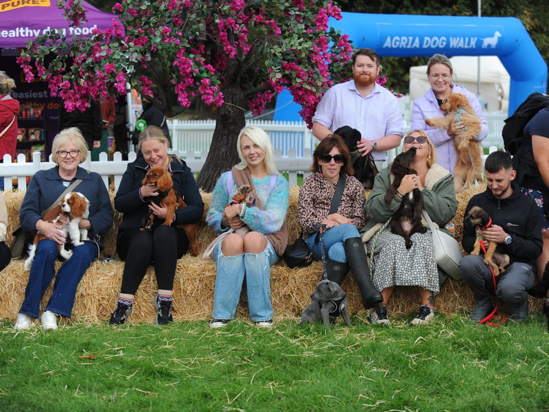 A puppy meetup