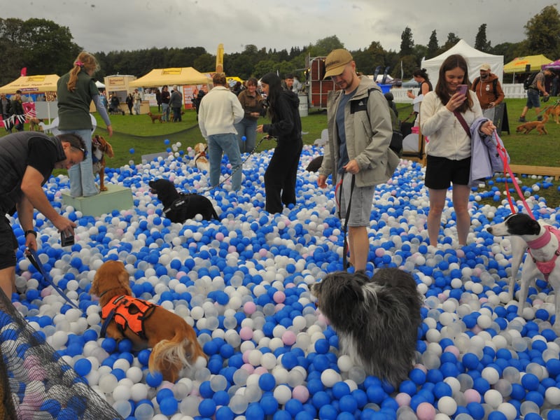 The ball pool proving very popular