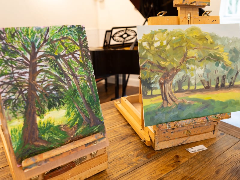 Paint in the Park Gosport