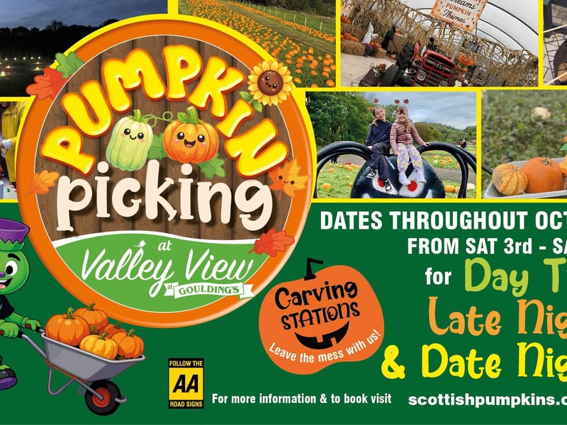 Valley View is holding their popular Pumpkin Picking event again this year, as well as a date night for adults.
Visitors can choose their pumpkins from the outdoor and indoor areas. There’s also Halloween scenes and decorations along the way, meaning there’s lots of photo opportunities.

This year’s dates are Saturday 3 to Thursday 31 October, including some late nights. Tickets are £5 with under one year olds going free.  