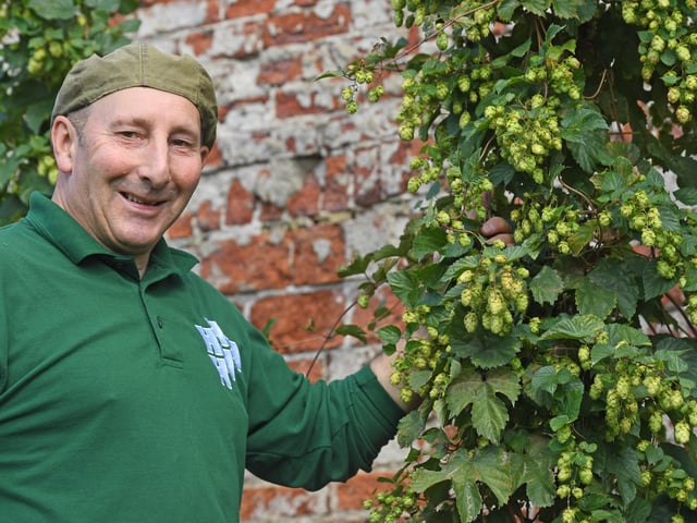 Head Gardener Trevor Nicholson who originally planted the hops in 1999.