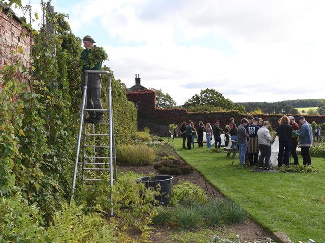 The  team then took the freshly picked hops directly to Northern Monk's brewery just 10km away.
