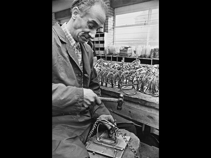 Craftsman Robert Buckler uses the time-honoured technique of "jagging" to finish a metal stirrup at Stanley Bros Ltd in Walsall in February 1976. Surrounded by rows of polished riding hardware on the workbench, his steady handiwork reflected the centuries-old saddlery and lorinery trades that cemented Walsall's reputation as the equestrian heartland of Britain. Did you work in the saddlery or brass trades at Stanley Bros, or remember the skilled craftsmen shaping riding tack across Walsall back in 1976?