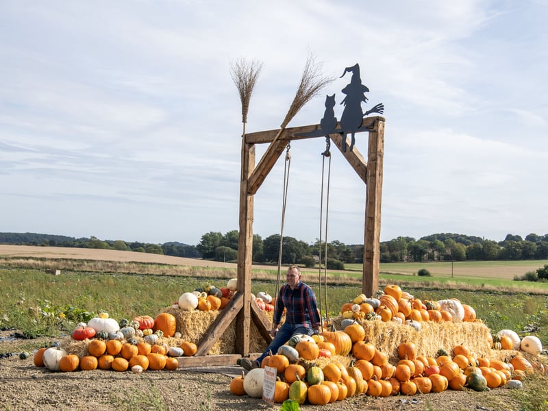 For 2026, the Pumpkin Festival is returning bigger than ever, with more than 300,000 homegrown pumpkins across more than 40 varieties growing across the farm.