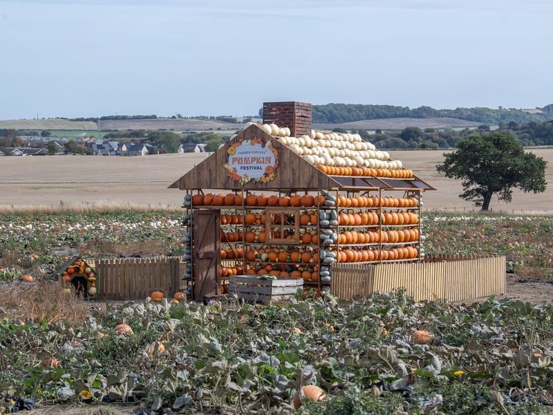 The farm has created a host of photo opportunities for visitors, including the much-loved Pumpkin House.