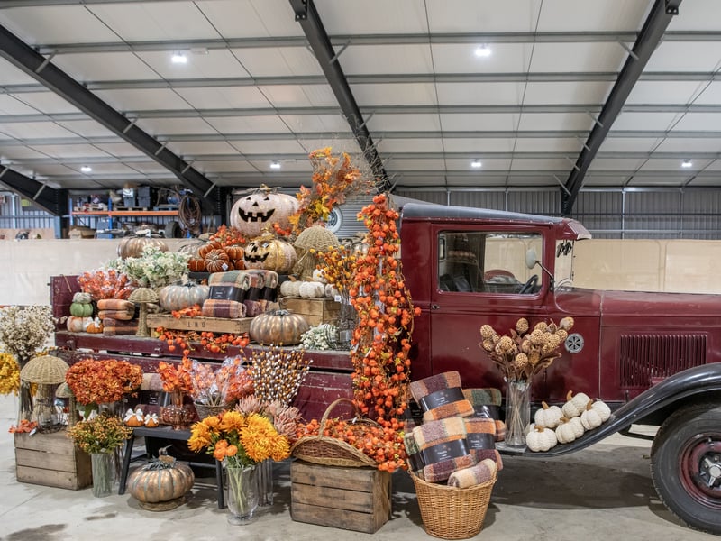 Thousands of families visit Farmer Copleys each year to choose their perfect pumpkin and enjoy a day out in the fields.