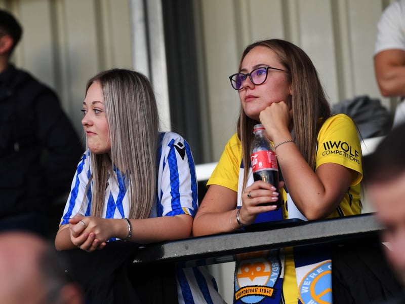 Owls fans at the AIG Stadium.