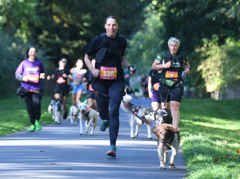 Some runners brought their dogs along for the Canicross friendly event.