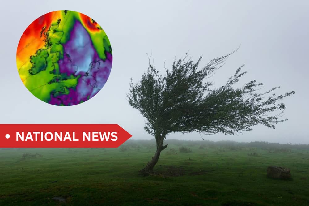Very strong and gusty southeasterly winds are expected