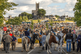 Ballinasloe Horse Fair