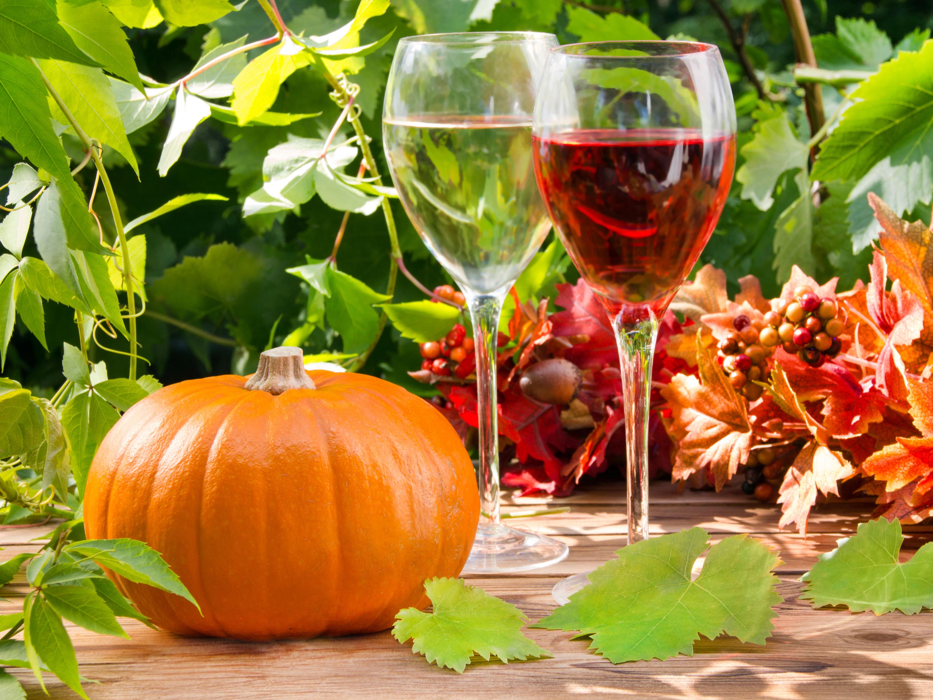 Pumpkin with glass of white and red wine