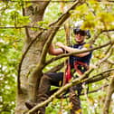 GRETB delivers arborist apprenticeships in Clonbur, Co Galway