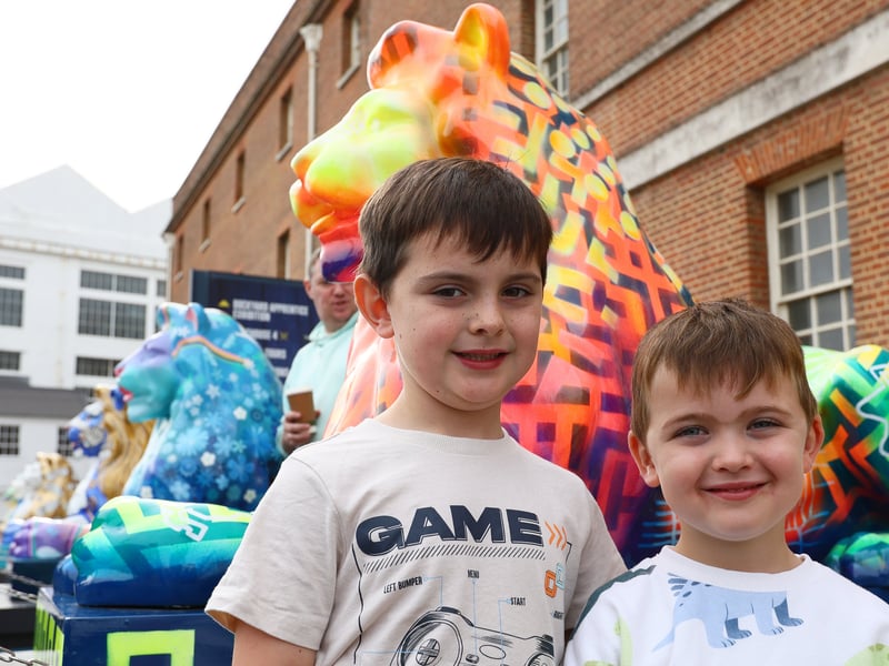 Charlie, 6, left, and Louie, 3 Picture: Chris Moorhouse (031026-004)