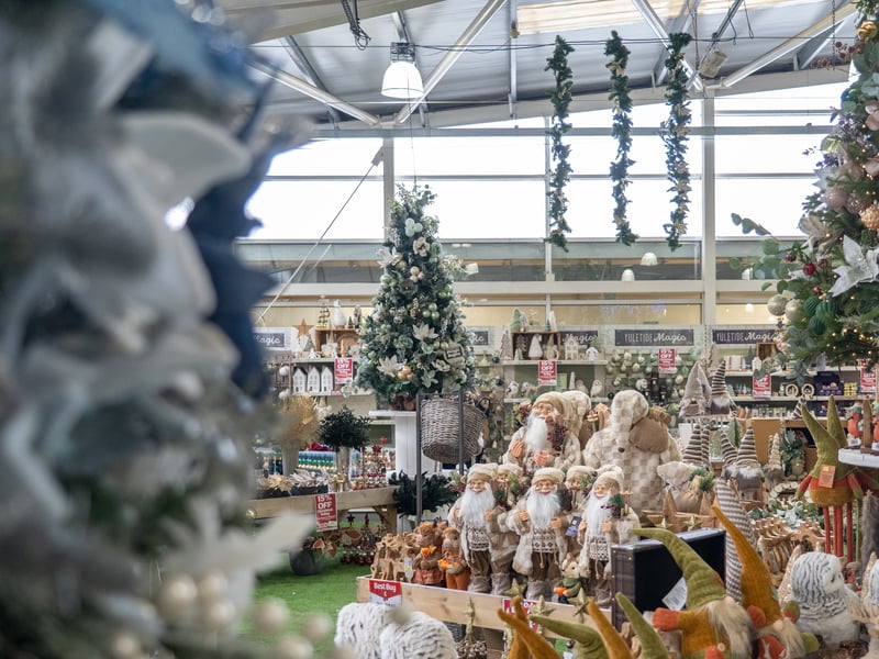 The Christmas display at the store. Picture: Alec Chapman
