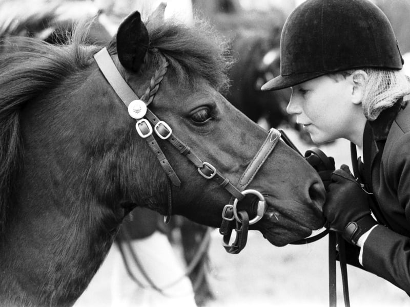 12-year-old Brenda Mason and her Shetland pony Holly took part in the Royal Highland Show in Ingliston, June 1986