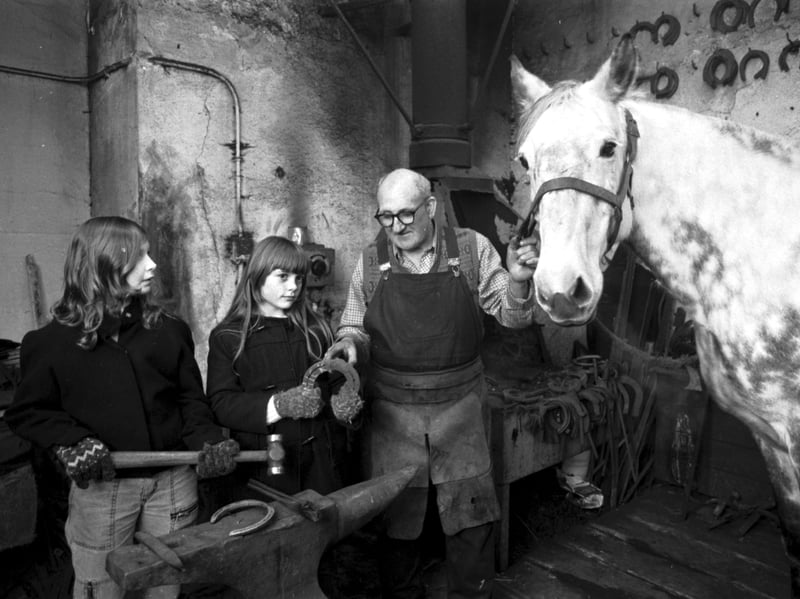 Pupils from Tollcross primary school visit the Scotmid stables in Edinburgh and meet farrier James Lee and one of the horses due to retire when the company stops milk horse doorstep deliveries in January 1985.