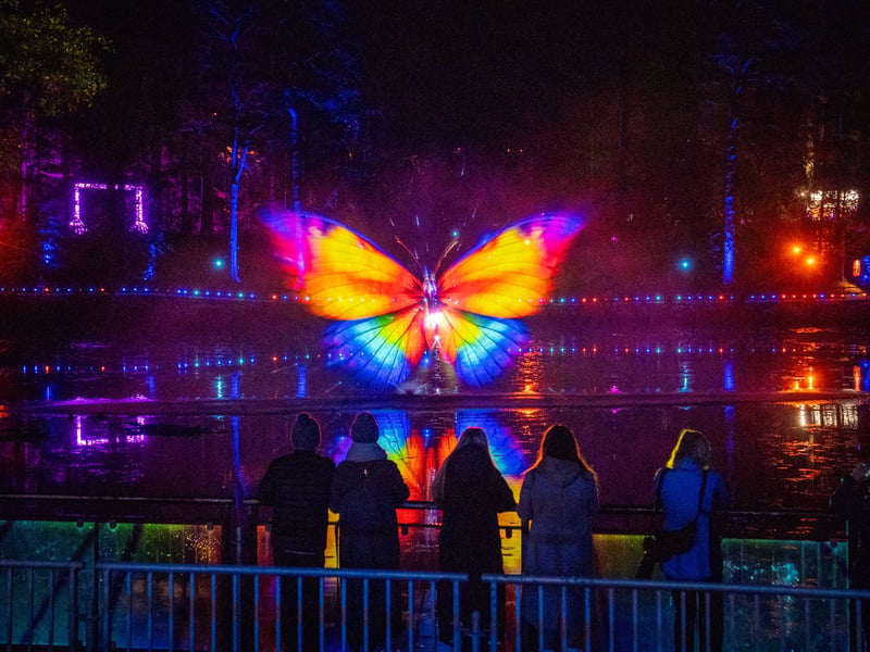 In Stop the Clock: The 25th Hour, minutes drift, clocks misbehave and the ordinary rules of reality begin to unravel as Faskally Wood is transformed through an immersive light show with a specially commissioned music and sound backdrop. 