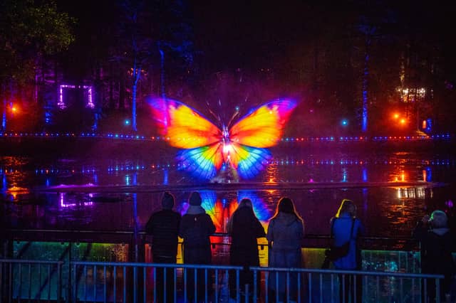 In Stop the Clock: The 25th Hour, minutes drift, clocks misbehave and the ordinary rules of reality begin to unravel as Faskally Wood is transformed through an immersive light show with a specially commissioned music and sound backdrop.