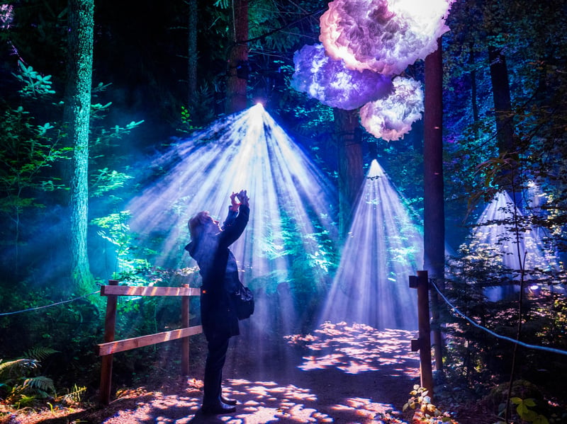 A visitor photographs the light installations at The Enchanted Forest