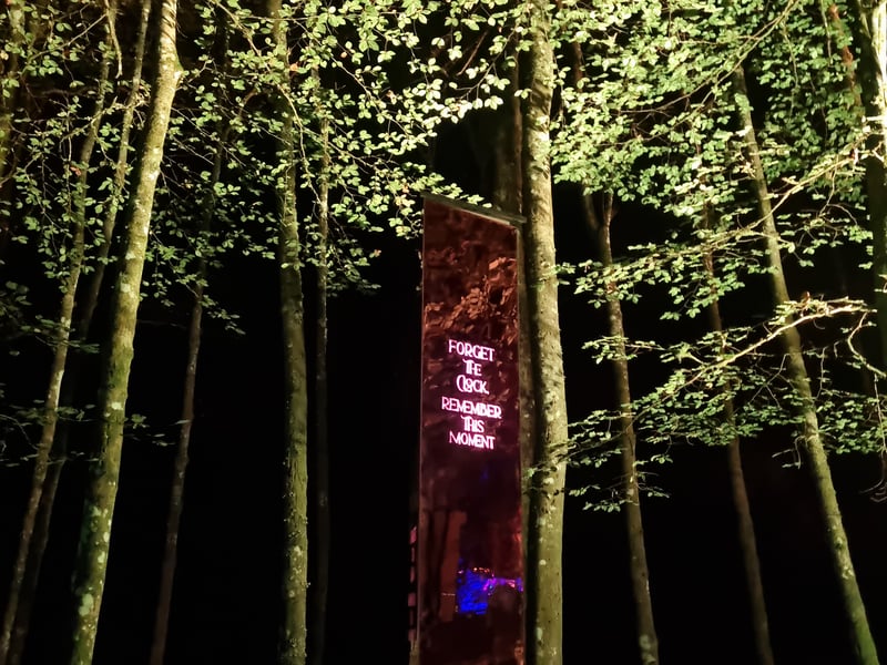 One of the new installations on route at this year's Enchanted Forest