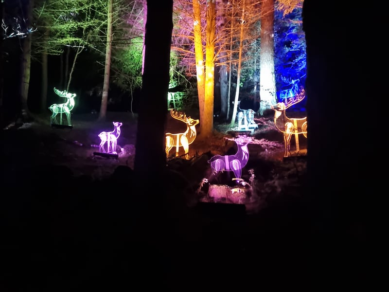 Neon deer are just some of the colourful characters visitors will meet this year.