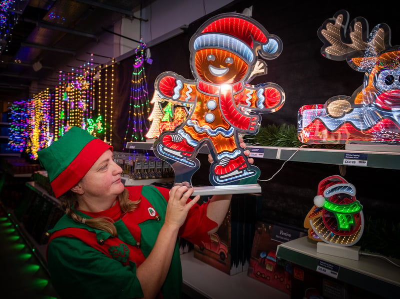 Donna Zaremba with one of the many comical Christmas lights.