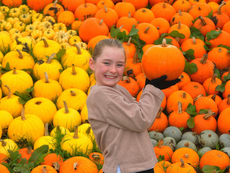 Plenty of pumpkins for Emily Butterworworth, nine of Tingley