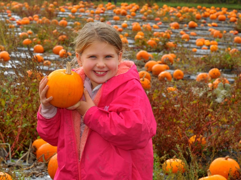 Matilda Chester, seven  of Shipley found the perfect pumpkin!