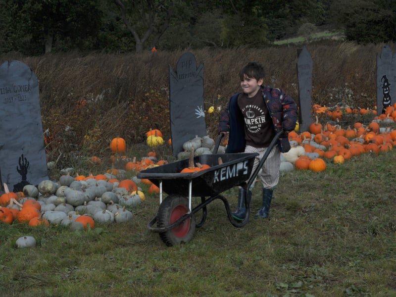 Cory Catchpole, six of Keighley amongst the pumpkins and gravestones. Could he fill the wheelbarrow?