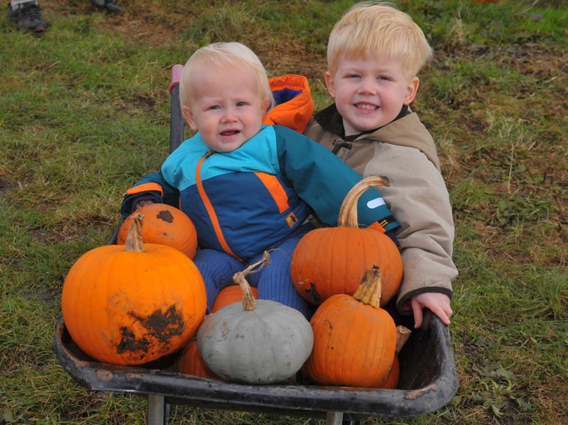 Louie and Alfie of Leeds taking a ride while out picking pumpkins