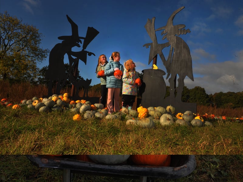Dorothea Ogle, Evan Fox and Margot Ogle of Bradford look at the pumpkins