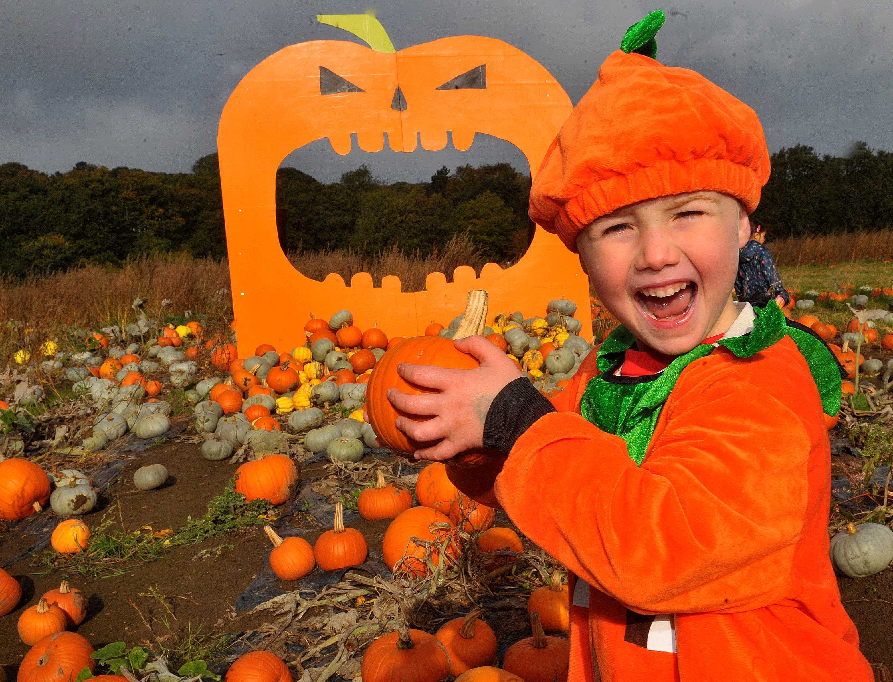 Nathan Holden, four of Calverley, Leeds happy with his pumpkin