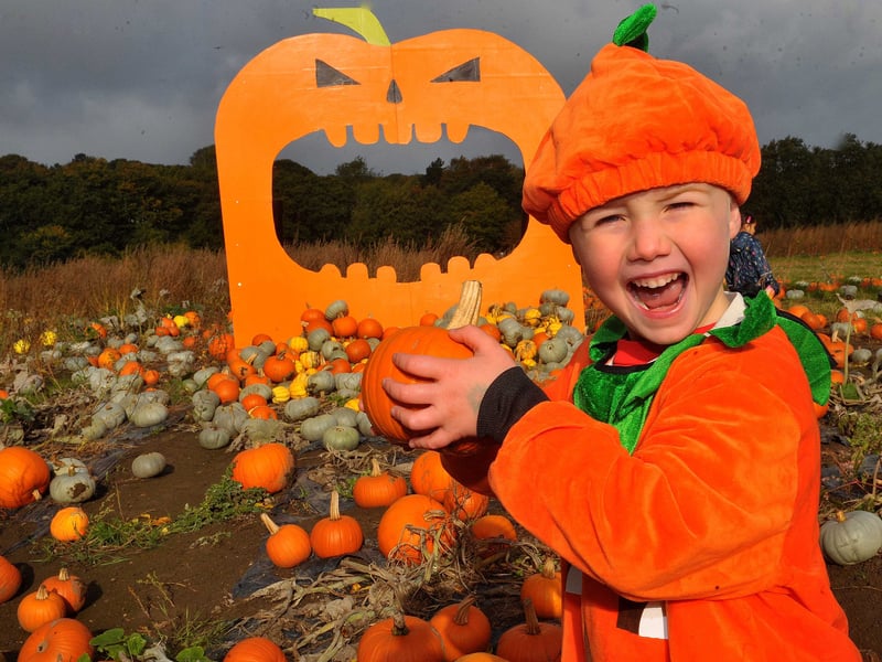 Nathan Holden, four of Calverley, Leeds happy with his pumpkin