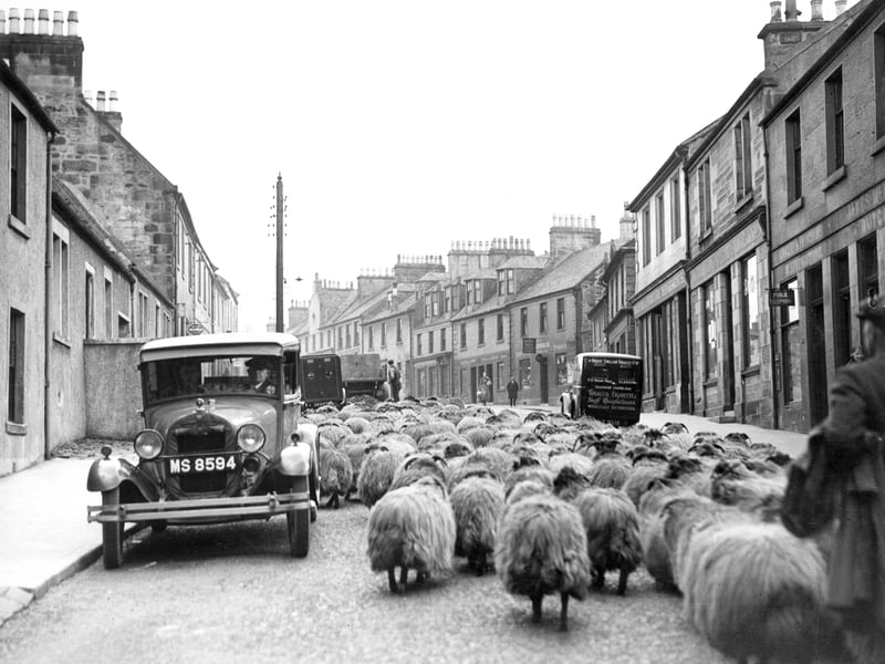 Sheep taking up the whole roadway in the village of Cumbernauld, 1935