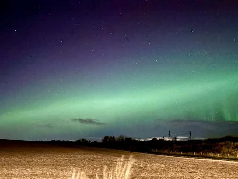 Alison Stewart, East Linton