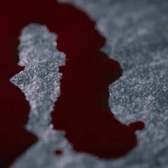 Pool of blood stock image