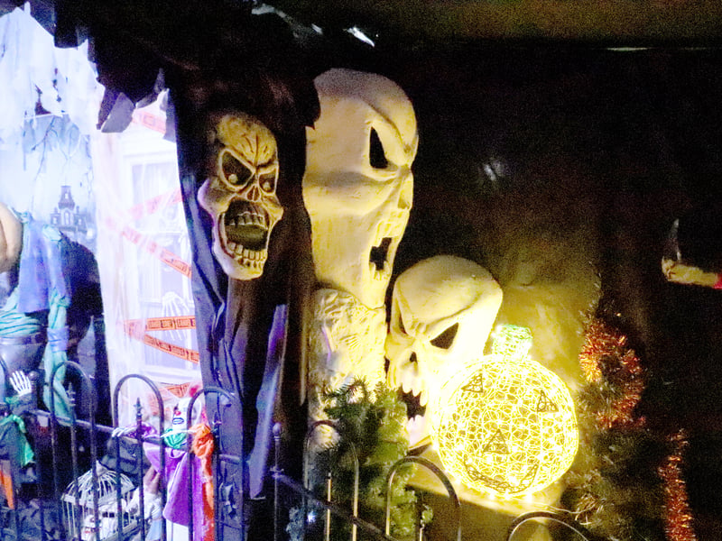 Keydell Nurseries in Hordean has set up its annual Halloween walkthrough for 2026.  Pictured: A look inside the Halloween set up  Picture: Habibur Rahman
